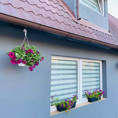 Apartamenty Pod Wieza 1 Olsztynek Dış mekan fotoğraf